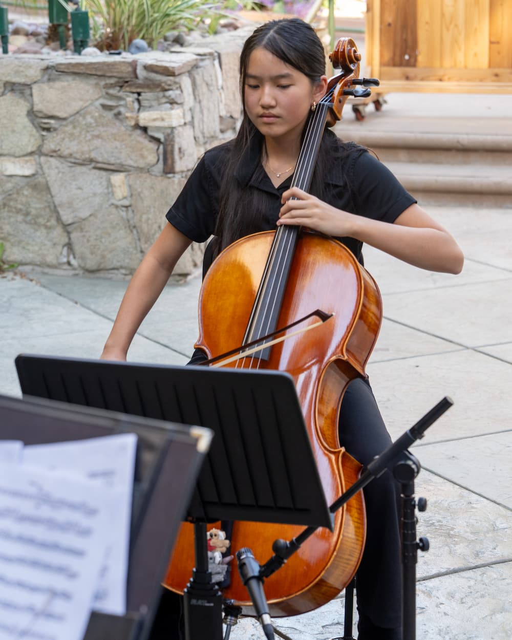 Young woman concentrating as she is playing the cello.