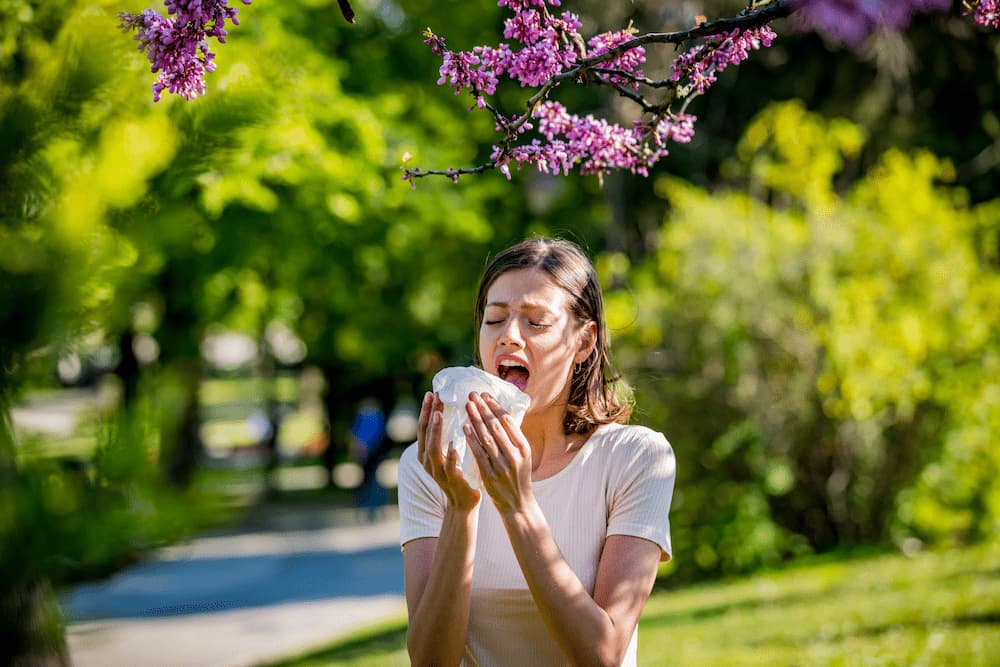 Women sneezing below, bright pink blossoms on a tree.