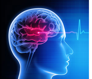 Image of brain.
